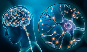 Epidemiology and Clinical Features of Bipolar Disorder in the City of Douala (Cameroon)